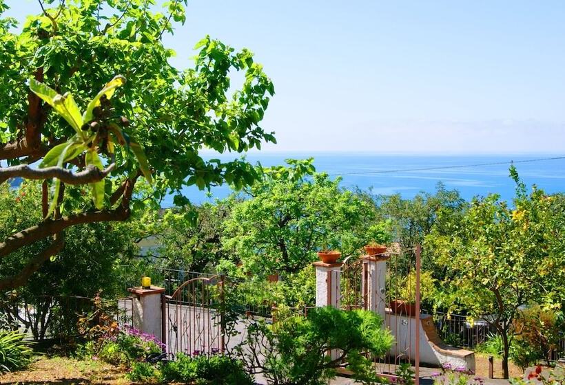 B&b La Casa Del Gelso