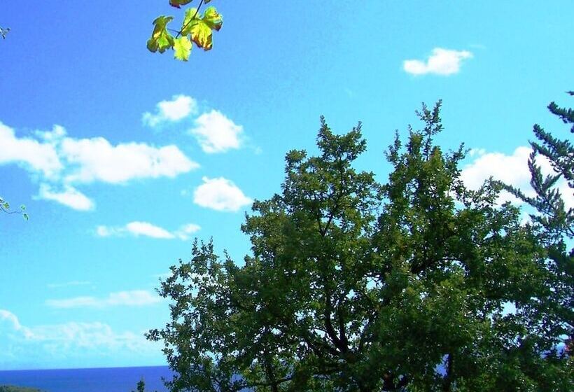 B&b La Casa Del Gelso