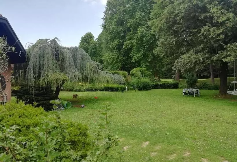 Nocleg ze śniadaniem Camera Viadelgolf 41