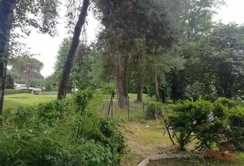 Nocleg ze śniadaniem Camera Viadelgolf 41