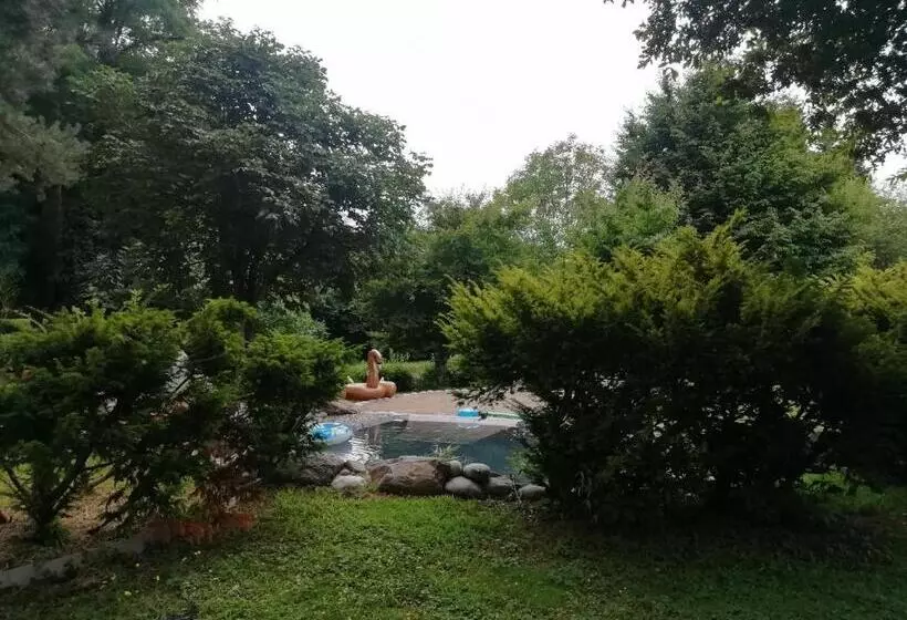 Nocleg ze śniadaniem Camera Viadelgolf 41