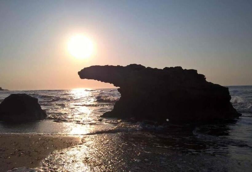 تختخواب و صبحانه Casa Elvira