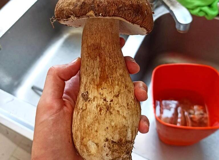 Hotelli Locanda Da Piero