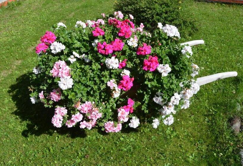 فندق Meublè Rosalpina