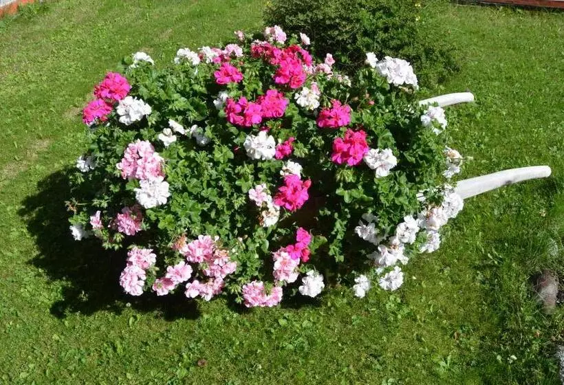 Hotelli Meublè Rosalpina