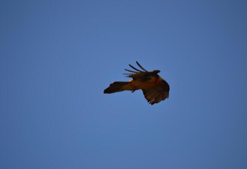 فندق Meublè Rosalpina