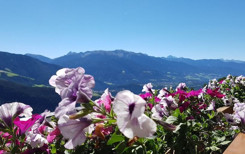 ホテル Pension Sonnenhof