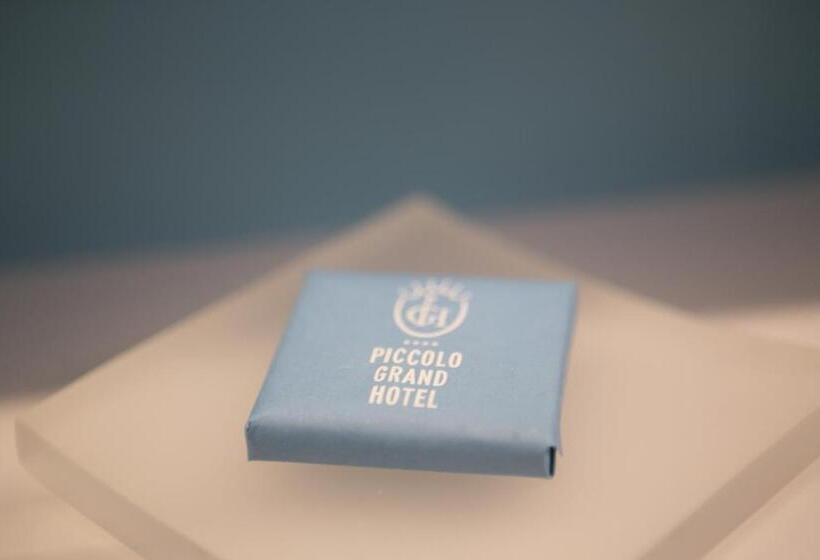 ホテル Piccolo Grand