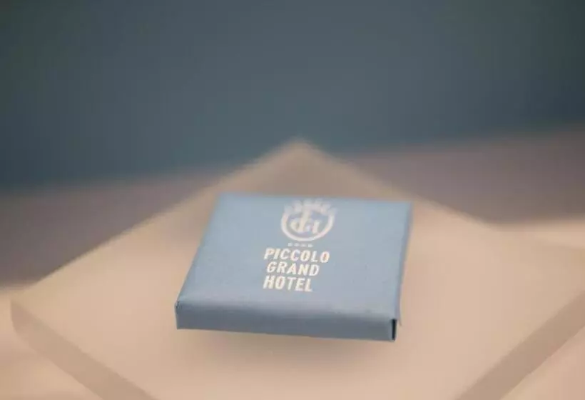 ホテル Piccolo Grand