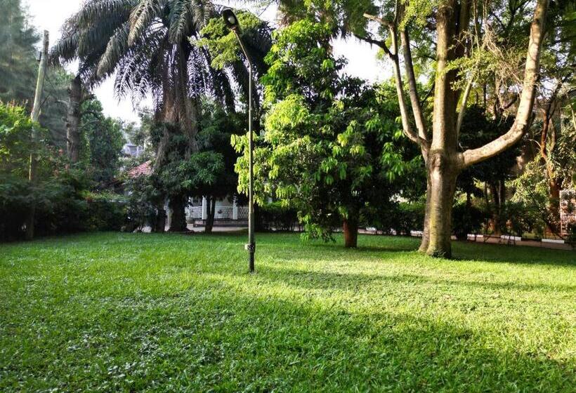 تختخواب و صبحانه Green Square Grove