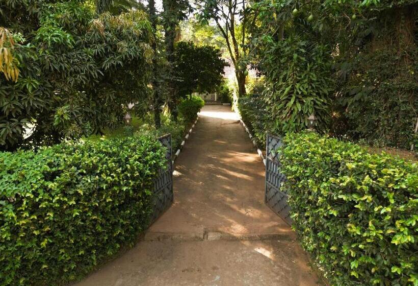 تختخواب و صبحانه Green Square Grove