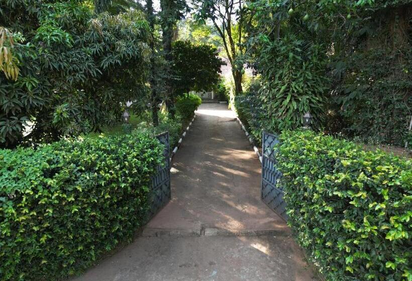 تختخواب و صبحانه Green Square Grove