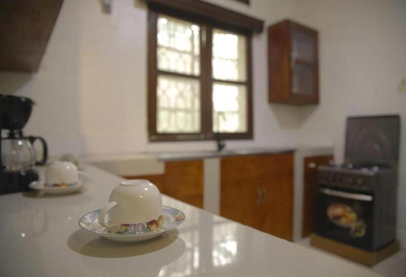 تختخواب و صبحانه Green Square Grove