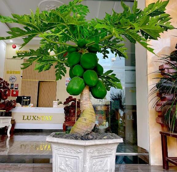 هتل Luxstay
