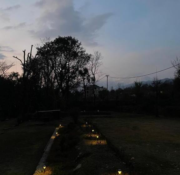 Hotel Q Star The Perfect Move