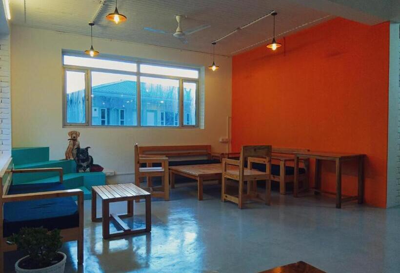 Hotel Q Star The Perfect Move