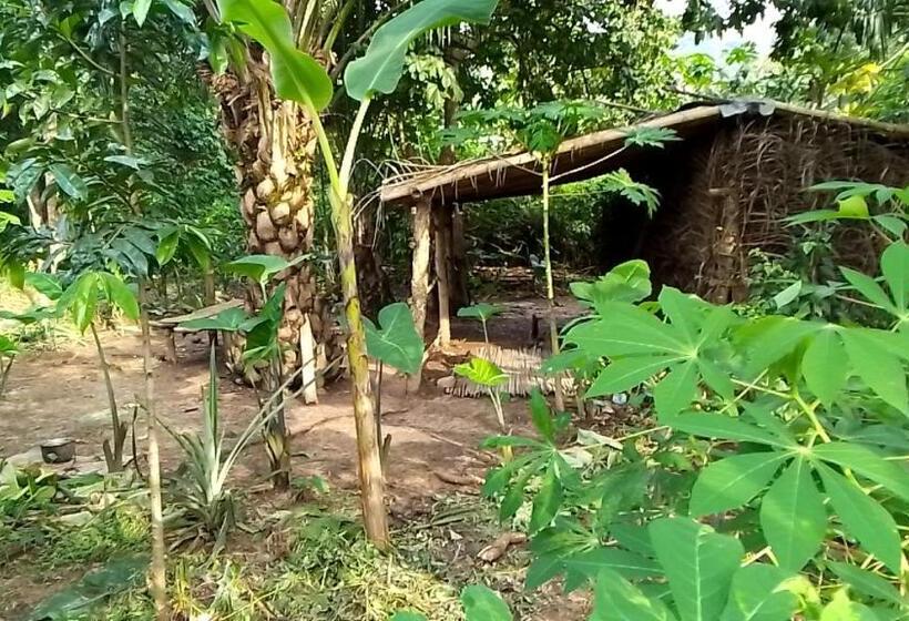 ホテル Royal Land