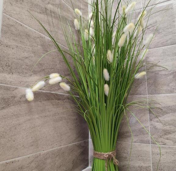 Pensão Summer Day Chernomorets