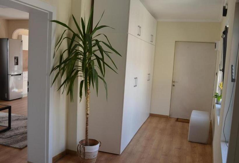 Apartment Veranda Terrace Top Center