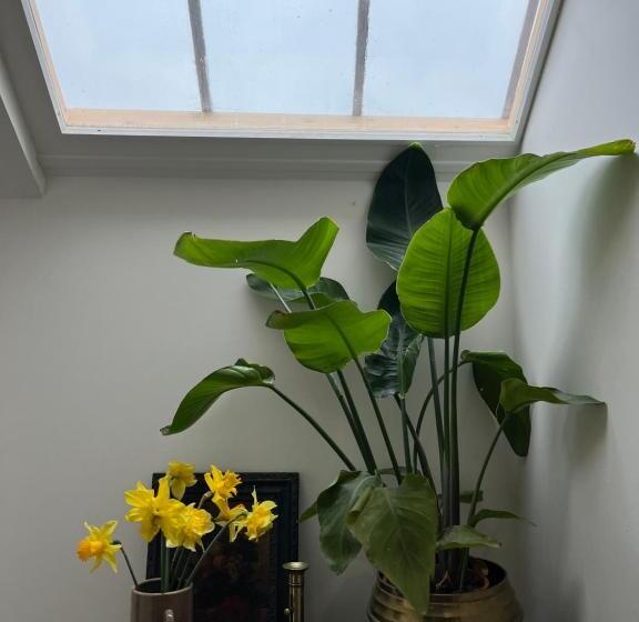 צימר Abbaye De Blanchelande