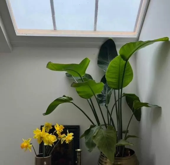 Aamiaismajoitus (B&B) Abbaye De Blanchelande