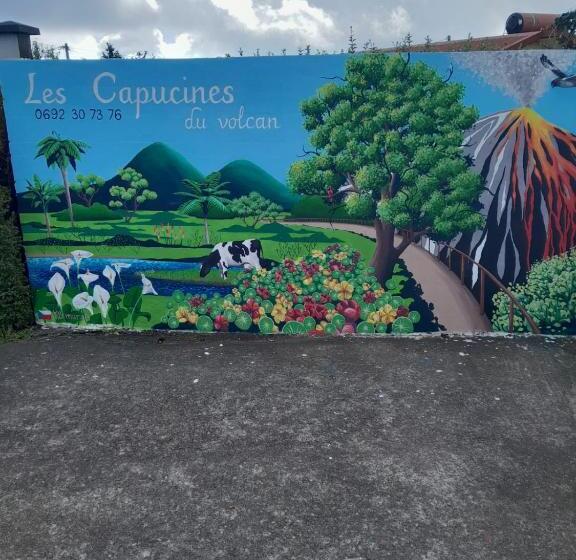 تختخواب و صبحانه Petite Chambre Vue Piton Des Neiges Les Capucines Du Volcan