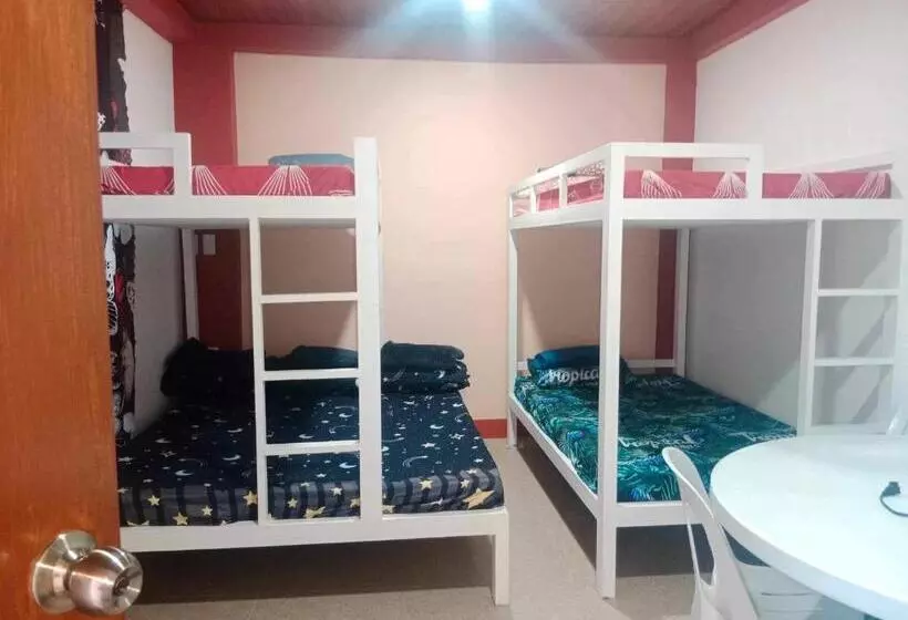 Hilda S Apartments