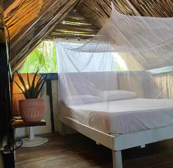 ホテル Casa Rio   Palomino