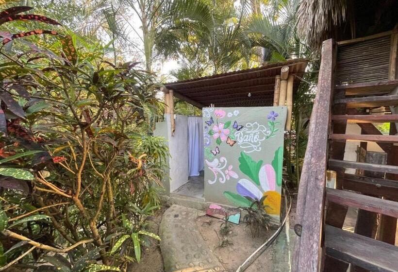 בית מלון כפרי Casa Rio Palomino