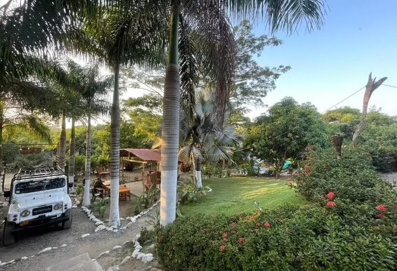 ホテル Casa Rio   Palomino