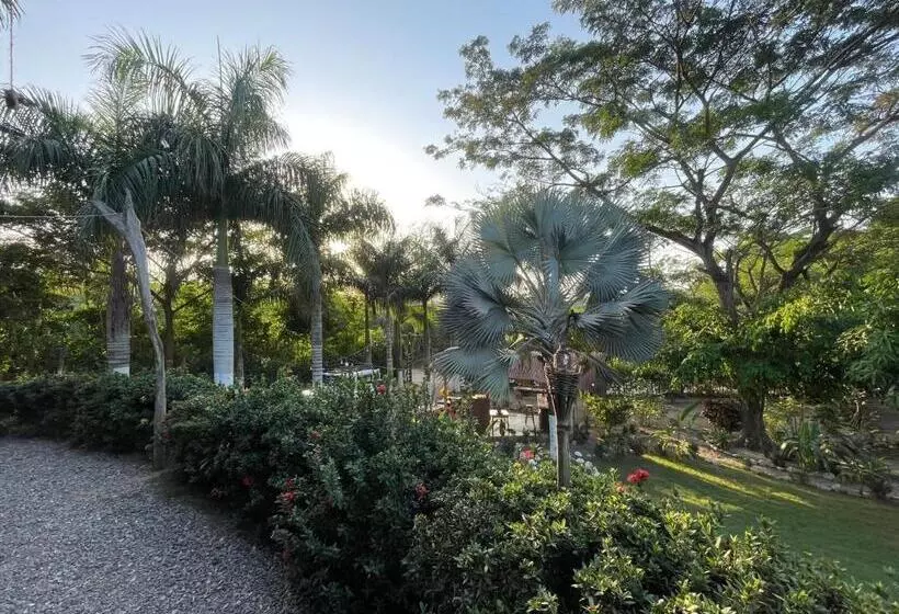 ホテル Casa Rio   Palomino