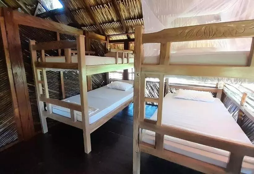 ホテル Casa Rio   Palomino