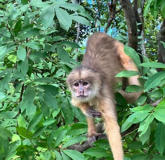 هتل Pousada Da Dri Lodge