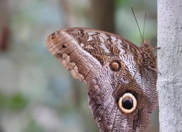 هتل Pousada Da Dri Lodge