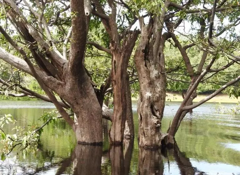 ホテル Pousada Da Dri Lodge