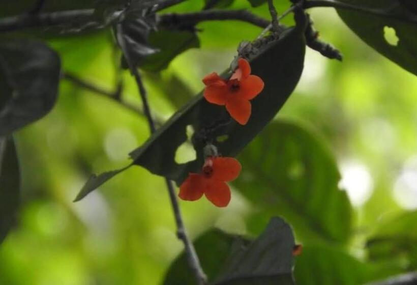 هتل Pousada Da Dri Lodge