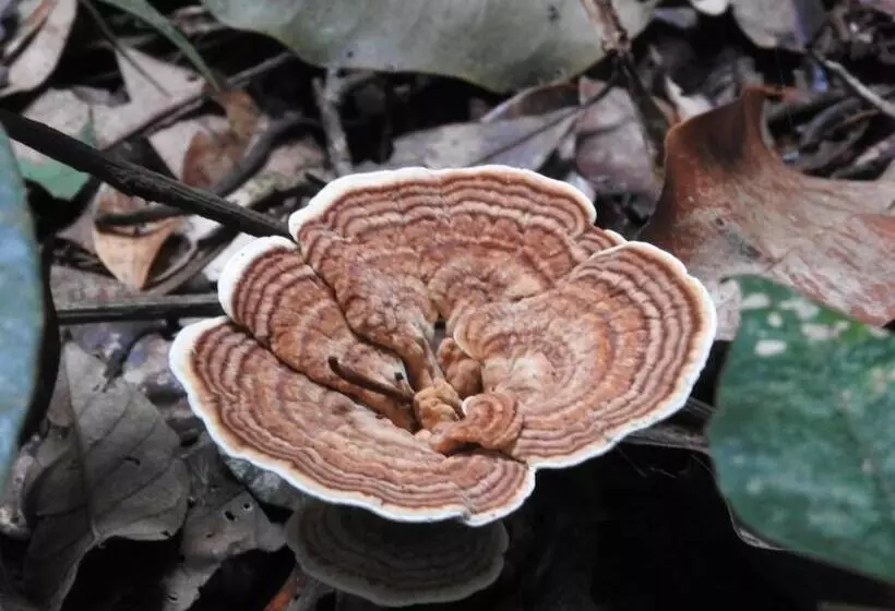 ホテル Pousada Da Dri Lodge