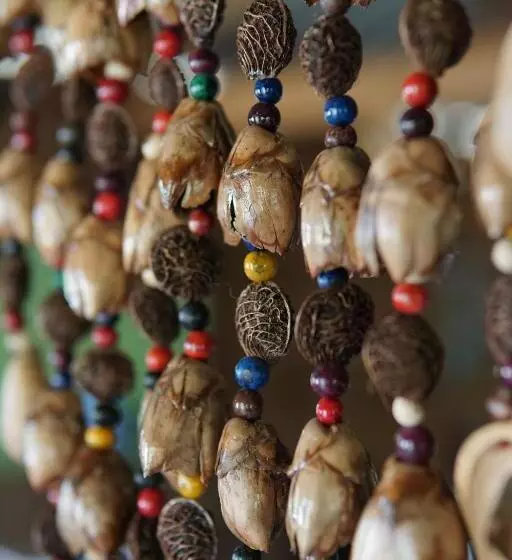 ホテル Pousada Da Dri Lodge