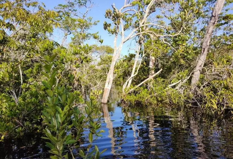 ホテル Pousada Da Dri Lodge