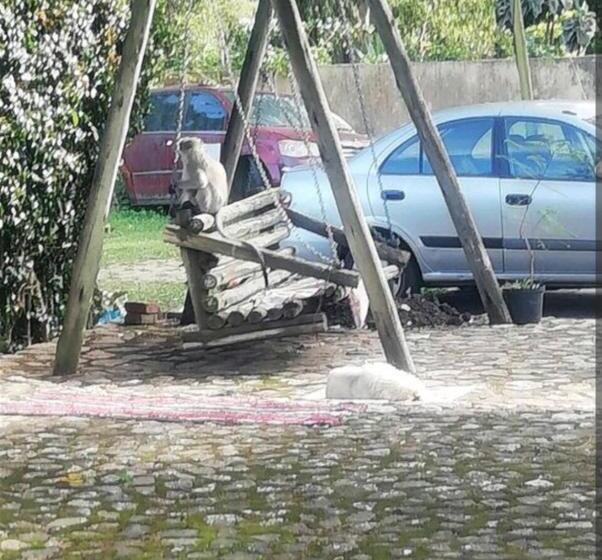 펜션 Amazing Grace Kzn