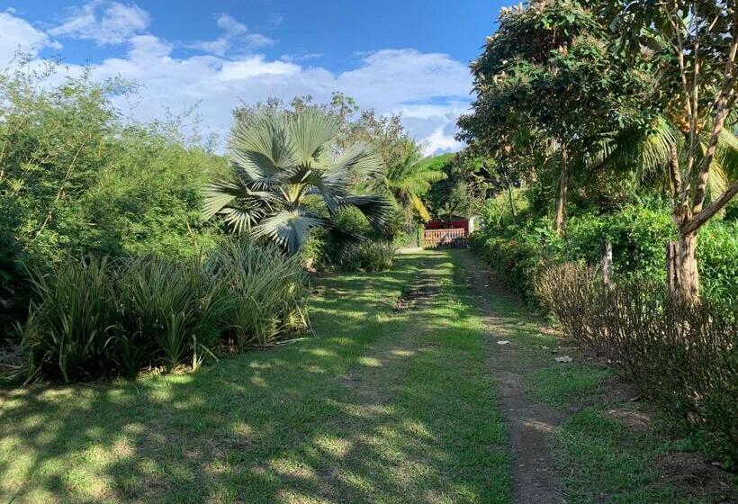 پانسیون Cabina Del Sol