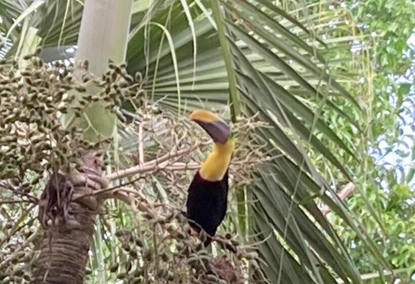 پانسیون Cabina Del Sol