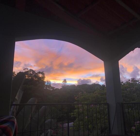 تختخواب و صبحانه The Traveler Palm B And B