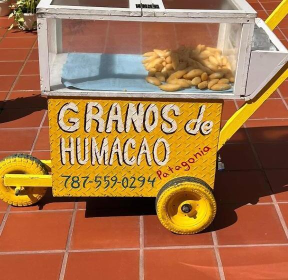 پانسیون Humacao Guest House 4