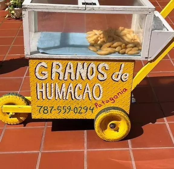 پانسیون Humacao Guest House 4