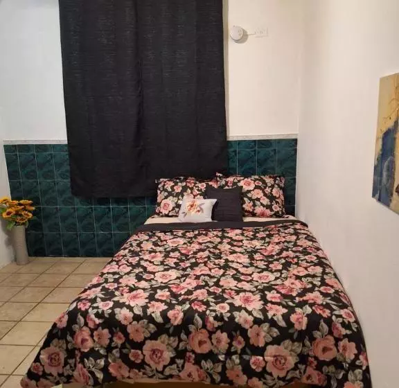 پانسیون Humacao Guest House 4