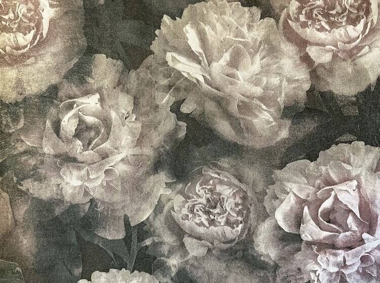 ベッドアンドブレックファースト Maison Du Roi