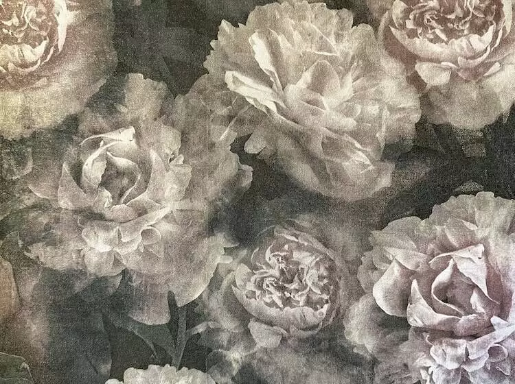 ベッドアンドブレックファースト Maison Du Roi