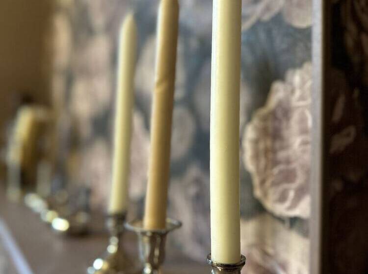 ベッドアンドブレックファースト Maison Du Roi