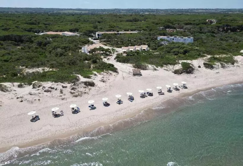 Q Resort